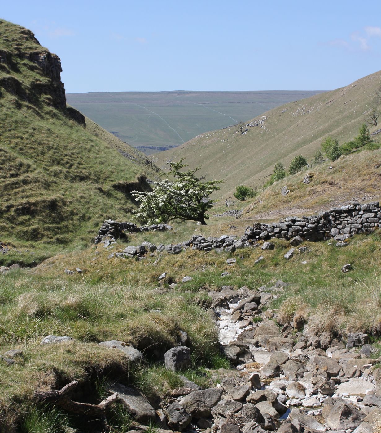 Northern Stile